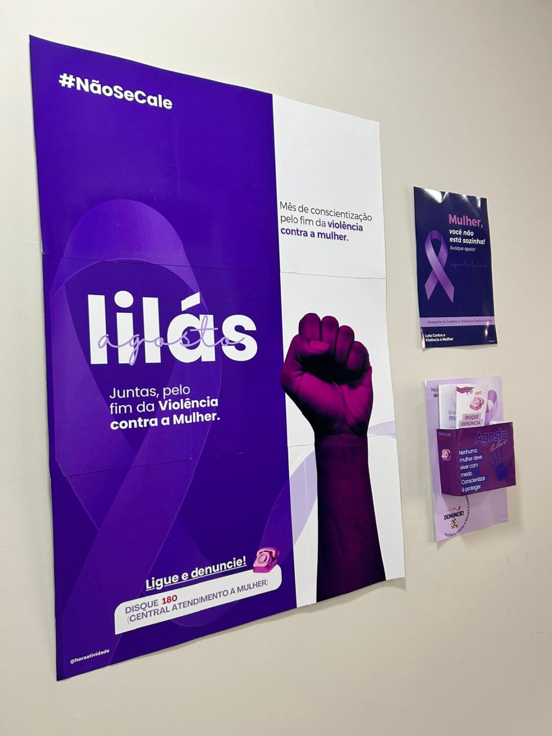 Agosto LILÁS - Imagem 2